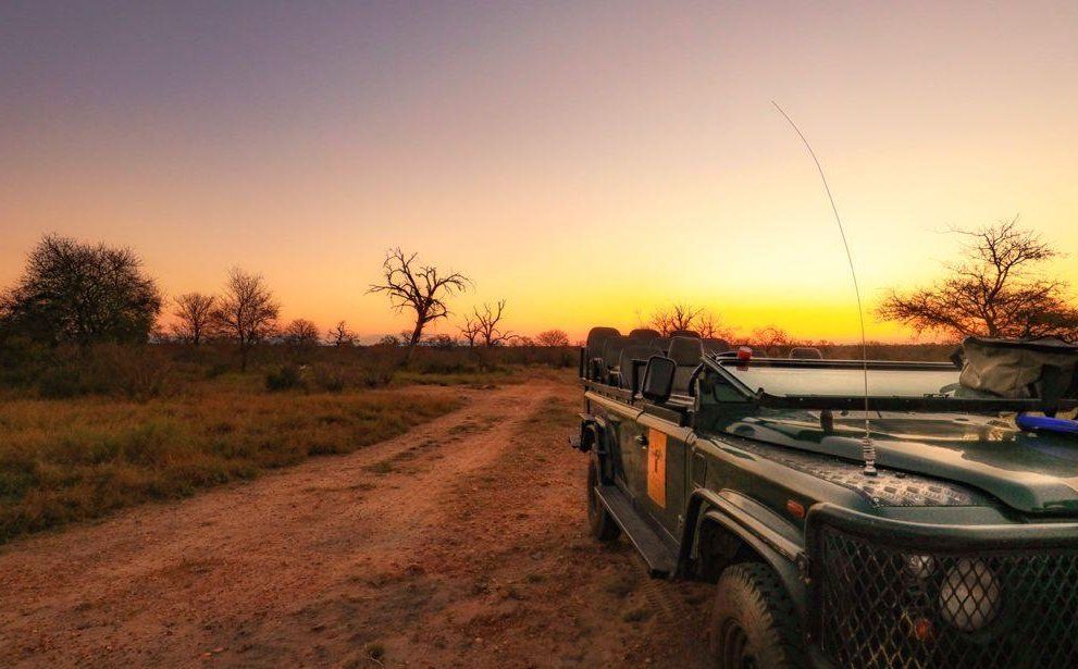 Safari vehicle on a dirt track at sunset in a grassy savanna, with sparse trees silhouetted against the sky