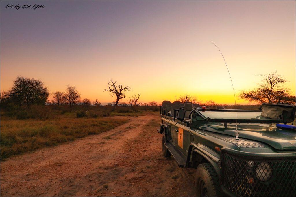 Safari vehicle on a dirt road at sunset, with trees silhouetted against a glowing sky.