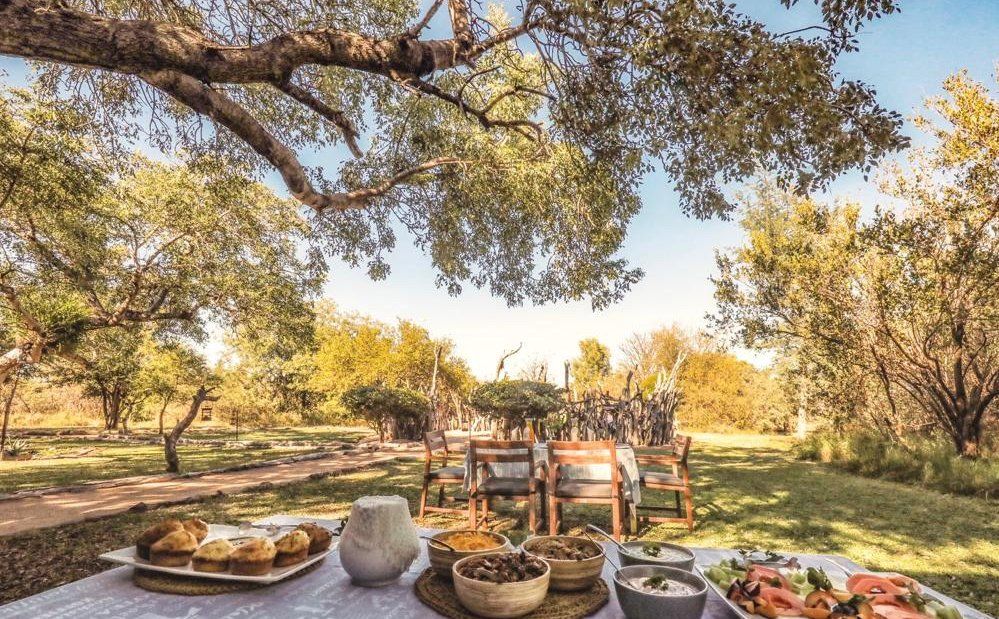 Outdoor picnic table under trees with food, bowls, and drinks in a sunny garden setting