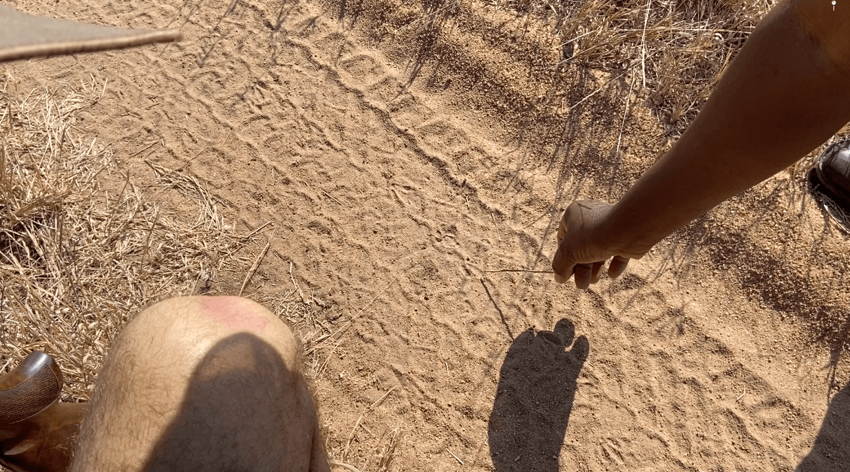 Person’s legs and arm over a sandy ground, casting shadows in bright sunlight.
