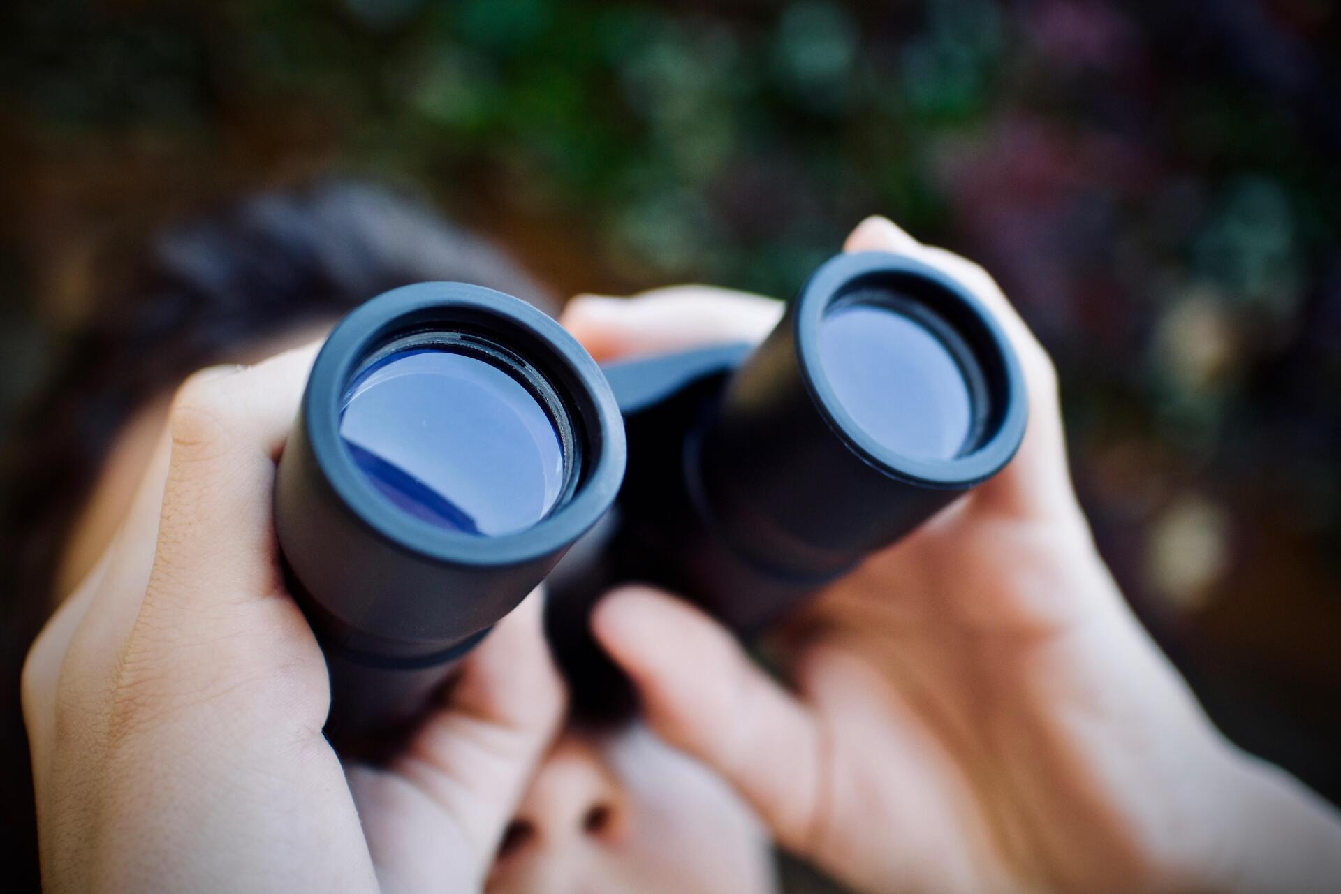 Hands holding black binoculars focused toward a blurred outdoor scene