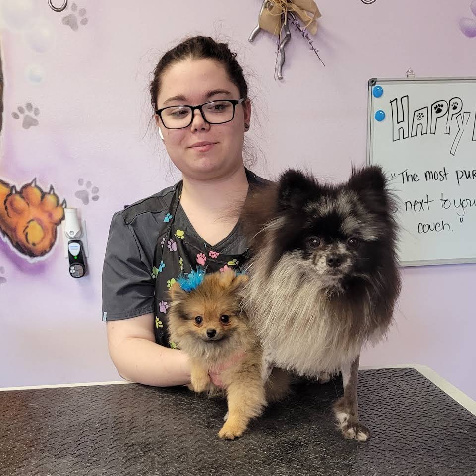 Dog & Cat Grooming Gallery Hesperia, CA Pampered Puppies