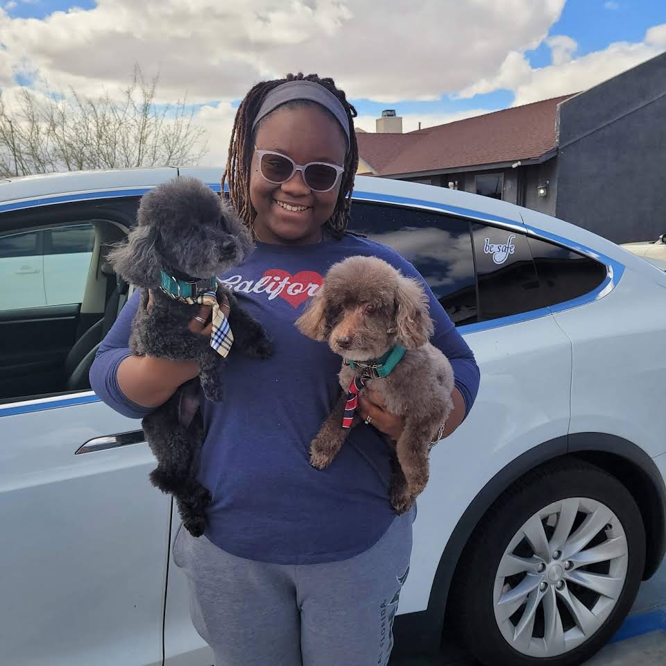 Cute and Adorable Dogs — Victorville, CA — Pampered Puppies