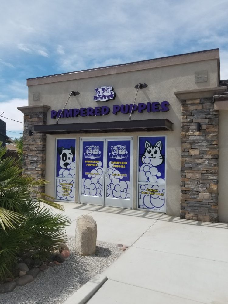 Pet Grooming Business — Victorville, CA — Pampered Puppies