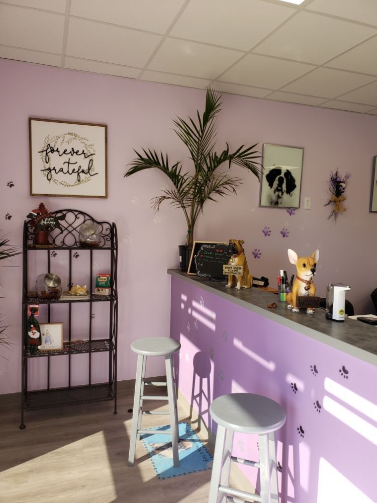 Pet Grooming Room — Victorville, CA — Pampered Puppies