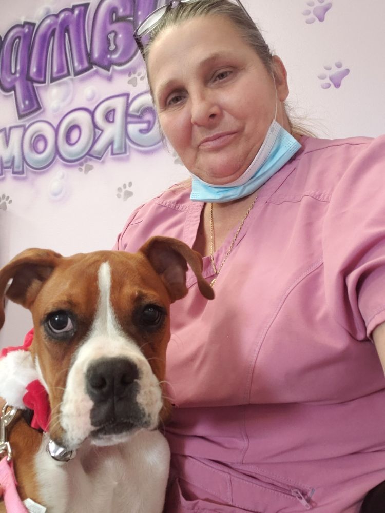Dog and Groomer — Victorville, CA — Pampered Puppies