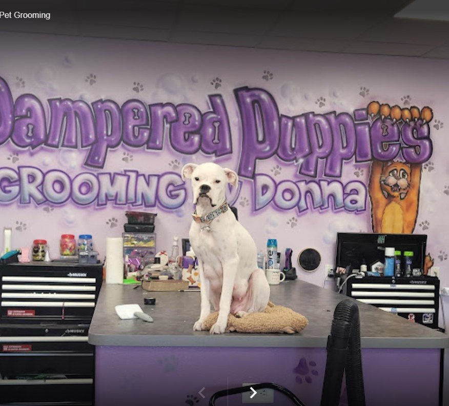 Dog & Cat Grooming Gallery Hesperia, CA Pampered Puppies