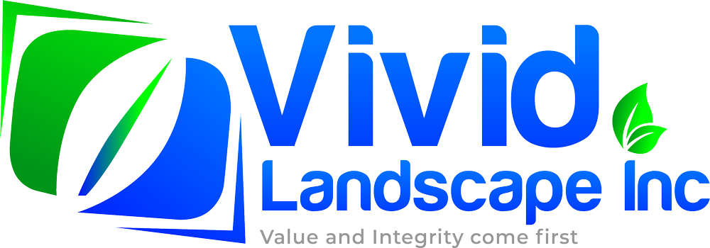 Vivid Landscape