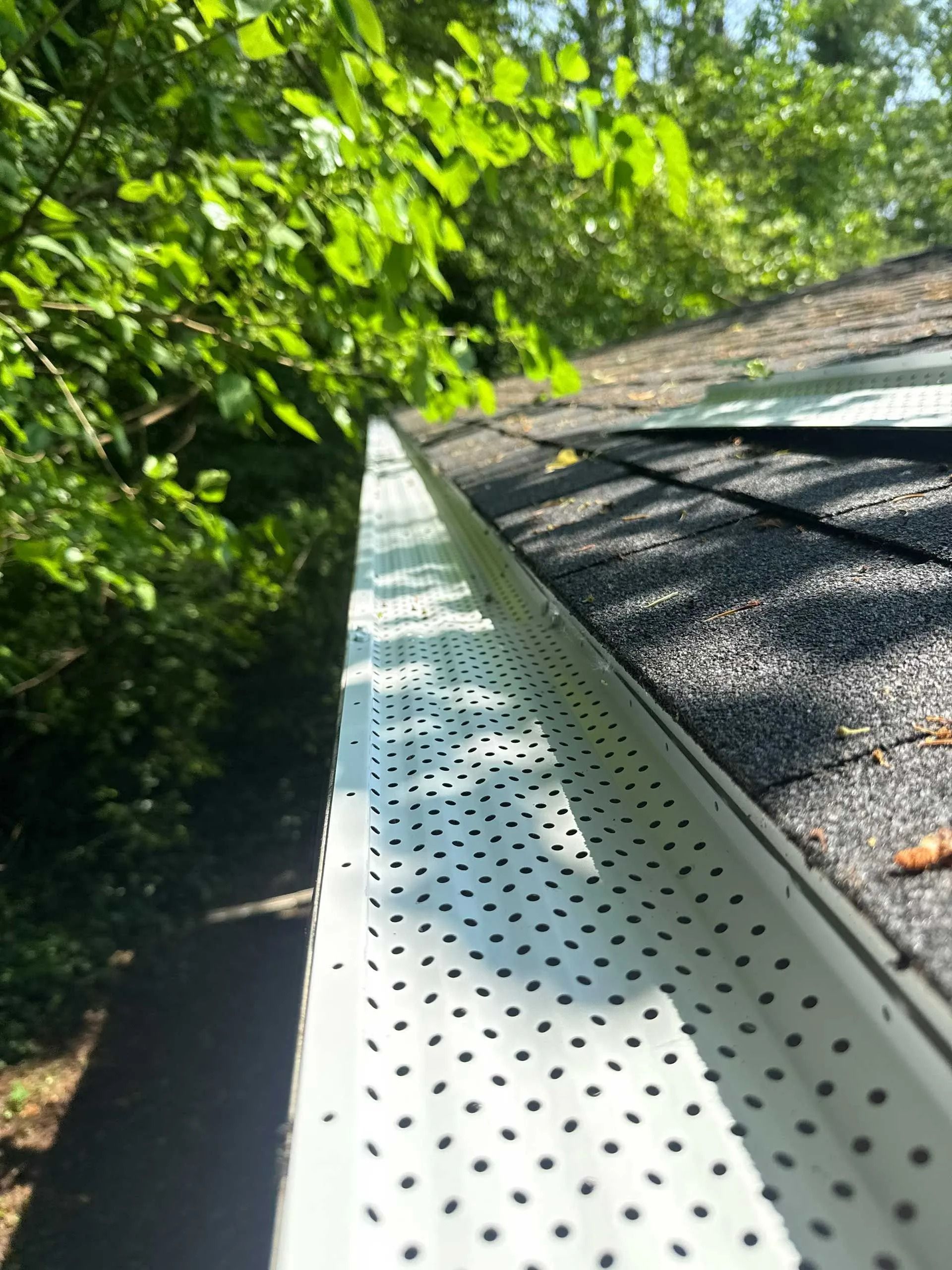 White metal gutter along a roof edge beneath green tree branches, with sunlight and shadows.