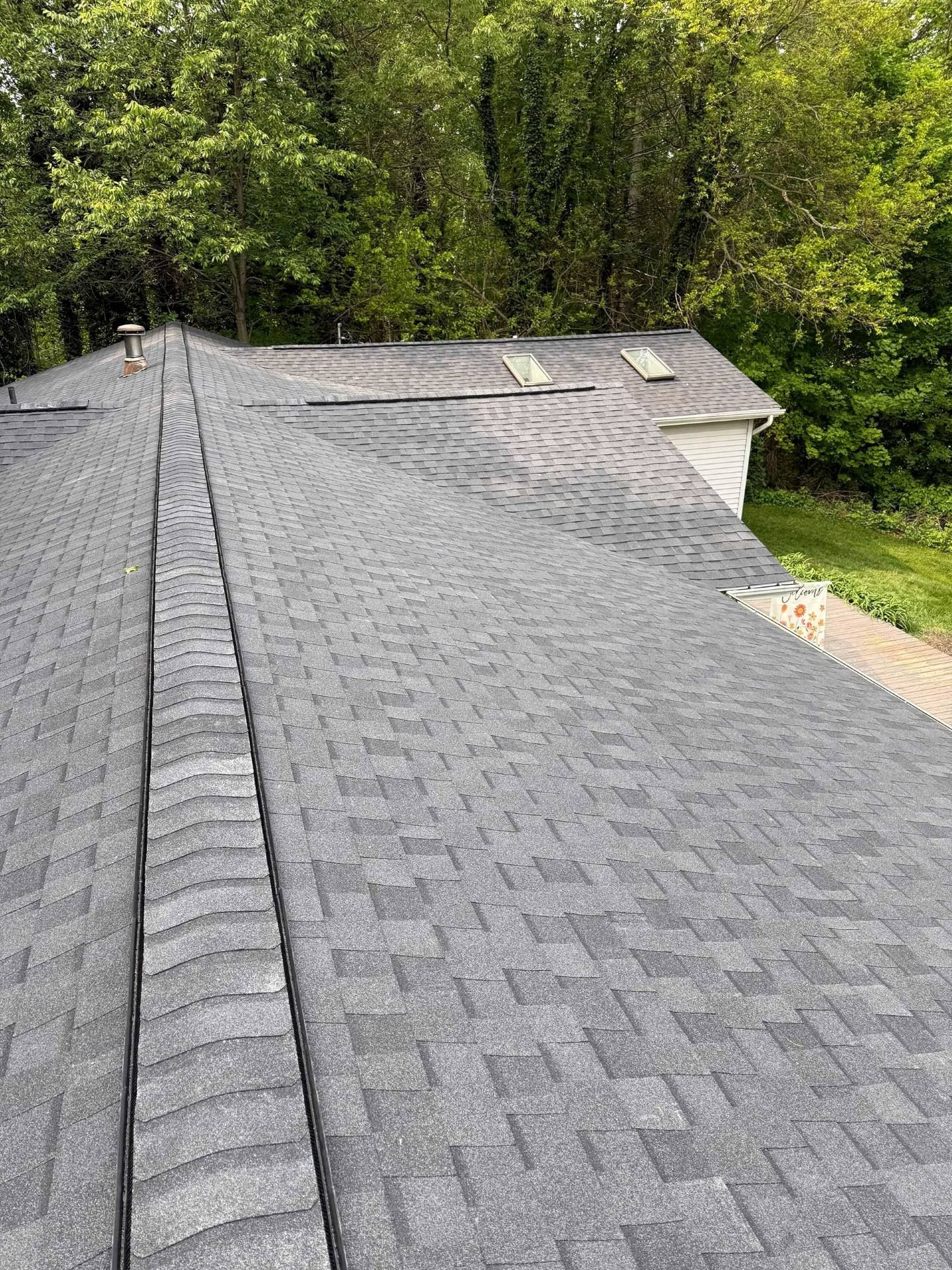 Gray shingled roof with a small skylight, bordered by trees and greenery