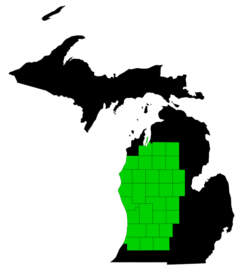 Black outline map of Michigan with the Lower Peninsula highlighted in green grid blocks