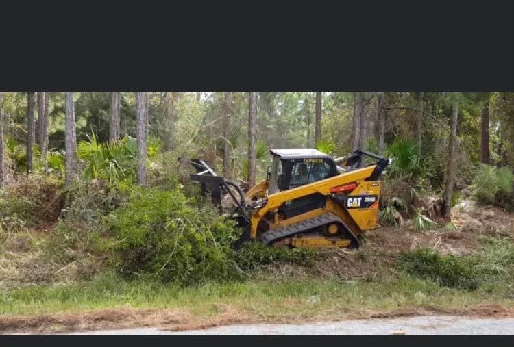 Yellow skid steer clearing brush beside a forest road, with dense trees in the background