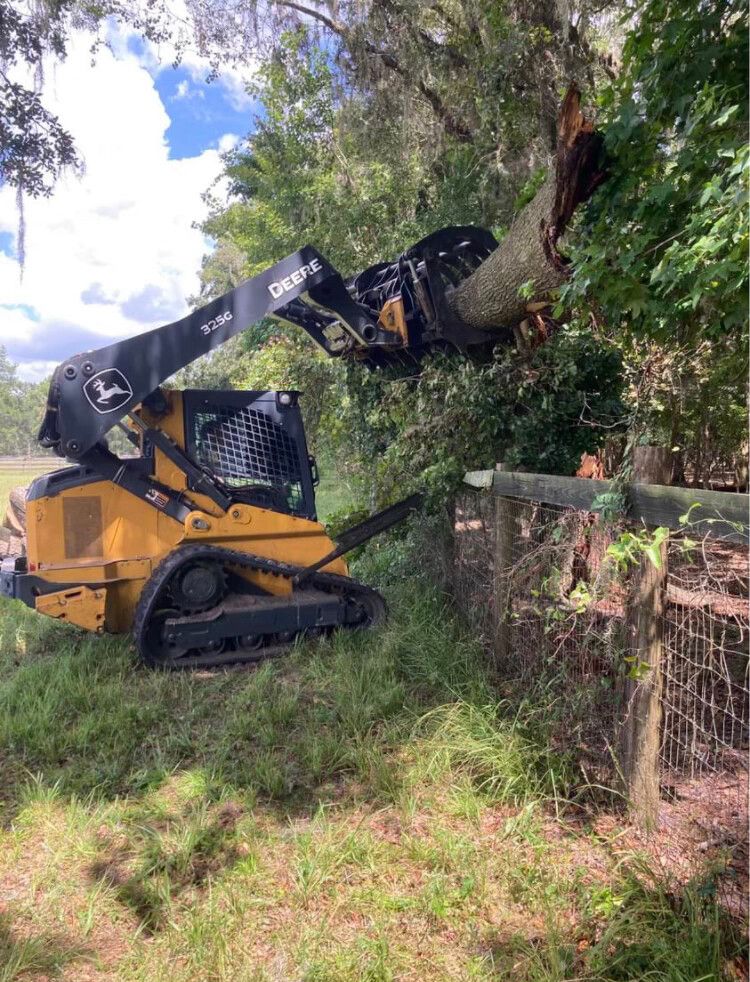 Yellow skid steer clearing a tree beside a fence in a grassy yard
