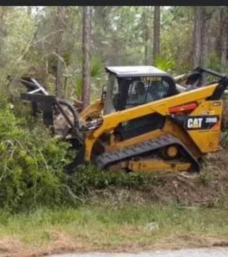 Yellow CAT skid steer clearing brush in a wooded area