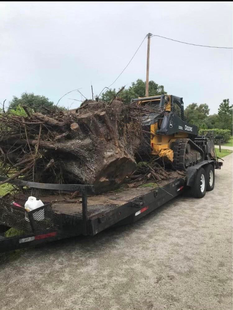 Heavy excavator loading tree roots onto a flatbed trailer on a roadside