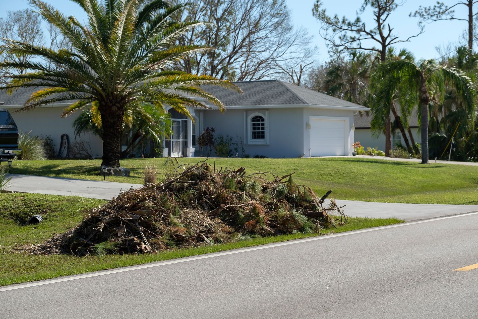 Residential street with a palm tree and a pile of yard debris beside a white house