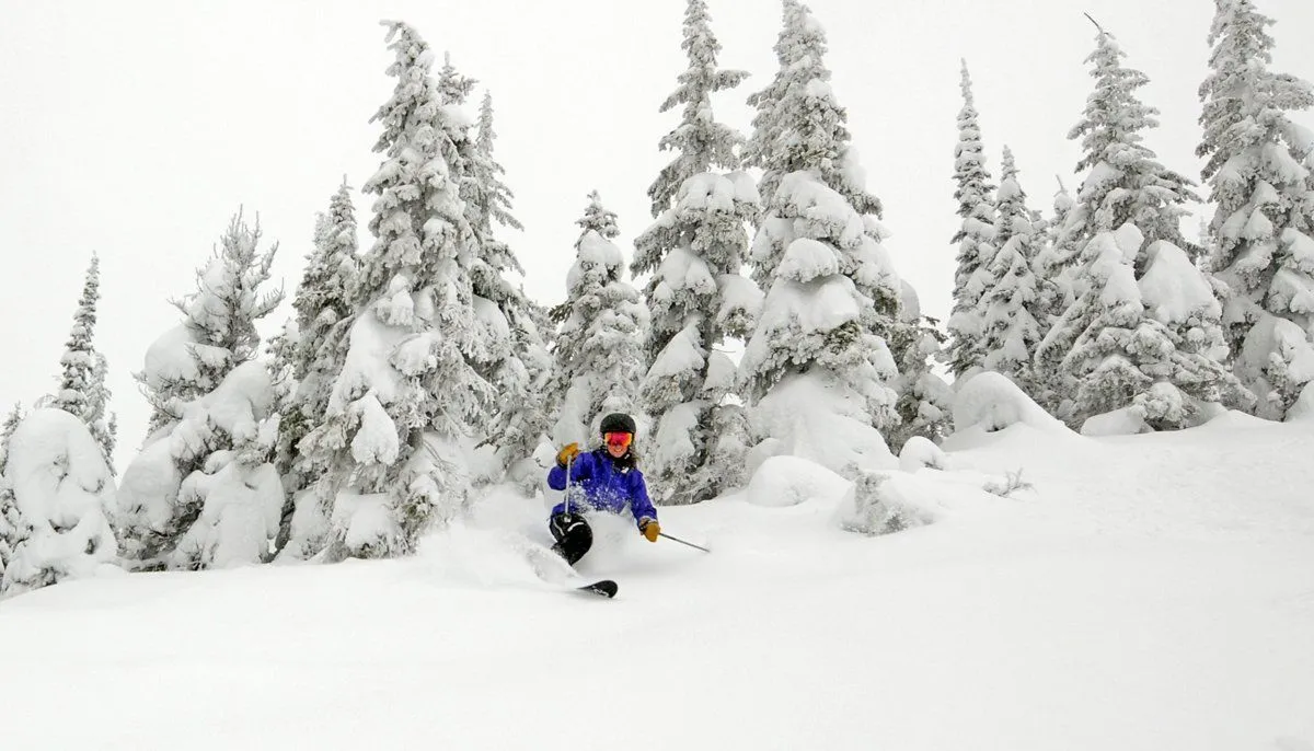 Skier in a blue jacket carving through deep powder among snow-covered evergreen trees