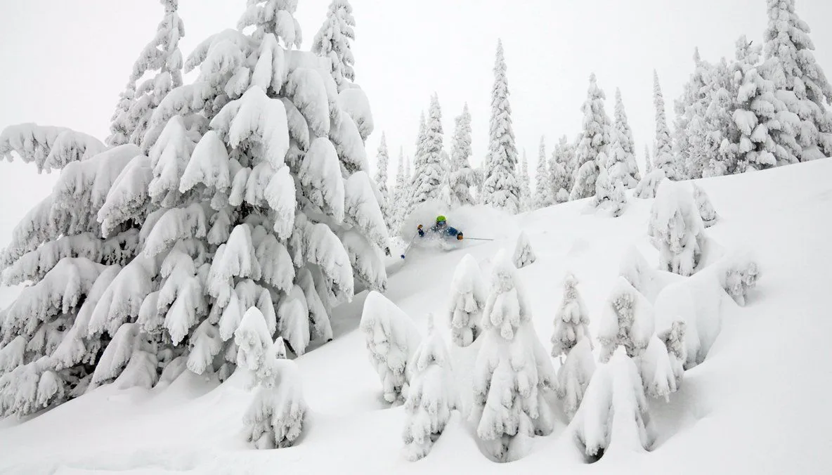 Snow-covered forest with a small snowmobile or skier moving through deep powder.