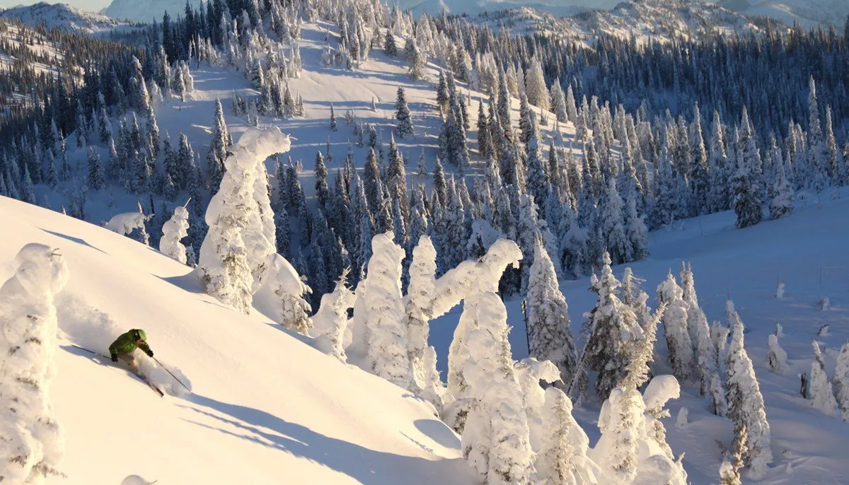 Snow-covered mountain slope with frosted trees and a distant forest under sunlight