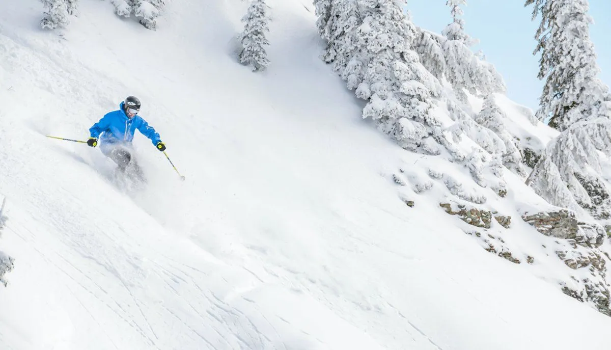 Skier in blue jacket carving through deep powder on a snowy mountain slope with frosted trees