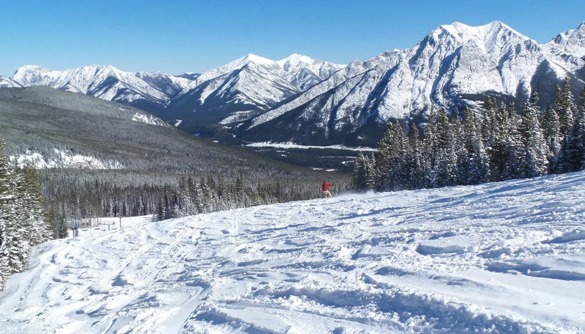 Snow-covered mountain landscape with ski tracks, pine trees, and a small red figure in the distance