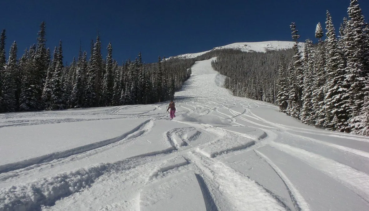 Snowy ski trail with tracks, pine trees, and a lone skier under a clear blue sky