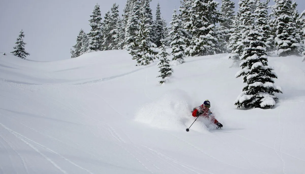 Skier carving through deep powder on a snowy mountain slope with pine trees in the background