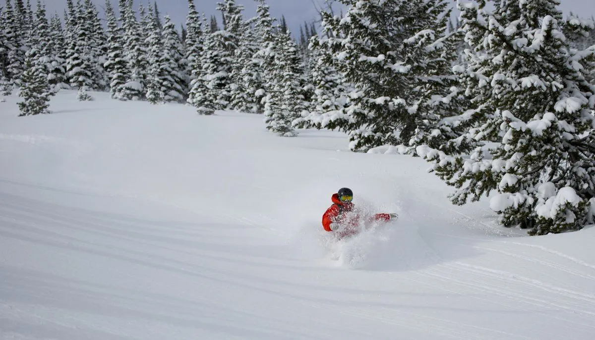 Snowboarder in a red jacket carving through deep snow near pine trees.