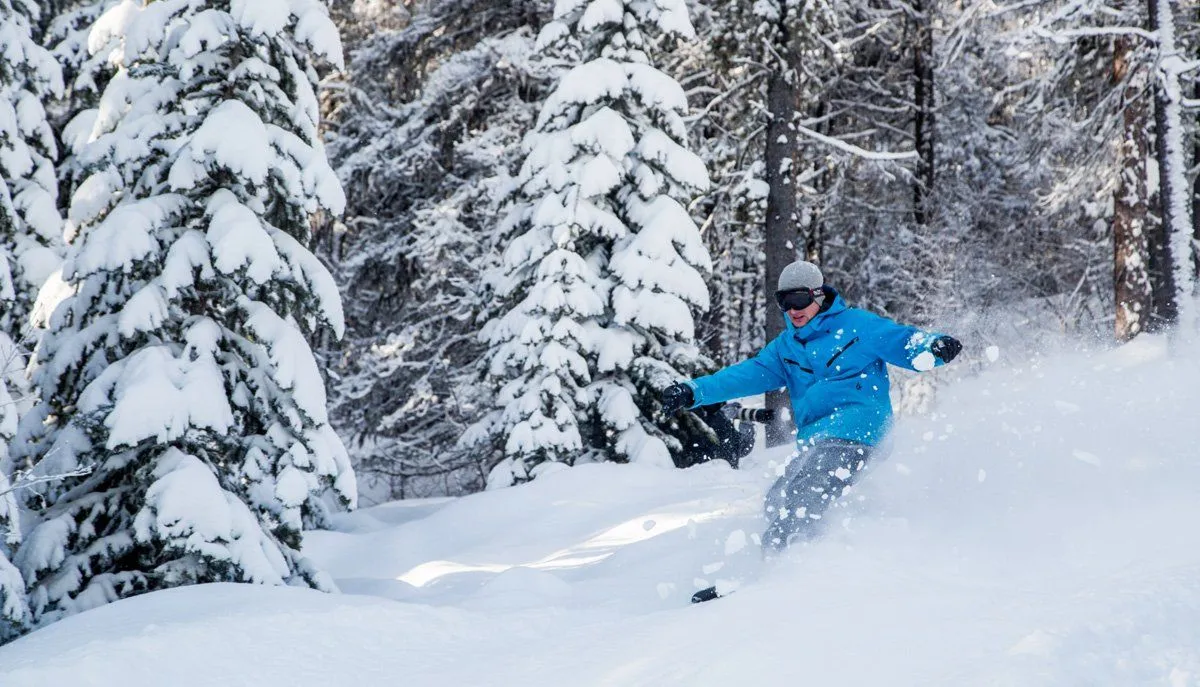 Skier in a blue jacket carving through deep powder beside snow-covered pine trees