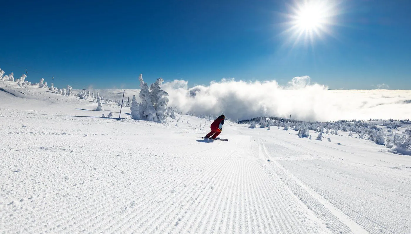 Skier carving down a bright, snowy mountain slope under a clear blue sky