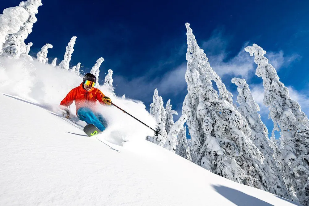 Skier in red jacket carving down a snowy slope beside snow-covered trees under a blue sky