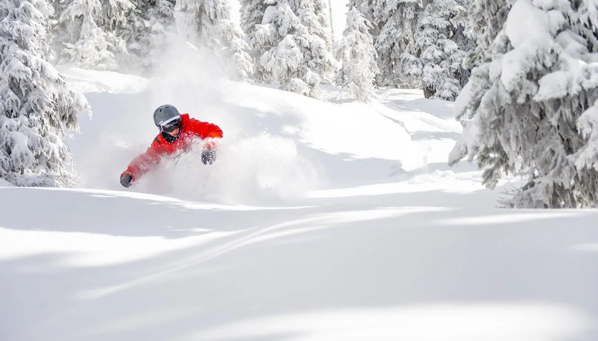 Skier in a red jacket carving through deep powder in a snowy forest