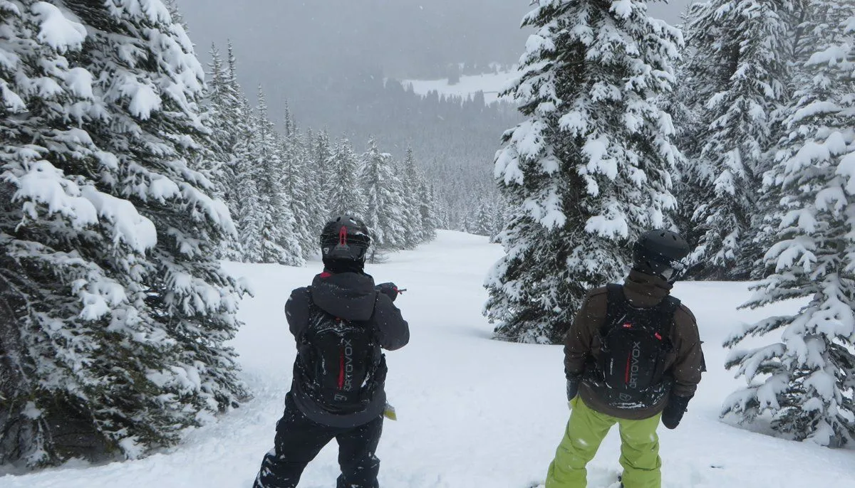 Two snowboarders standing on a snowy trail among snow-covered pine trees