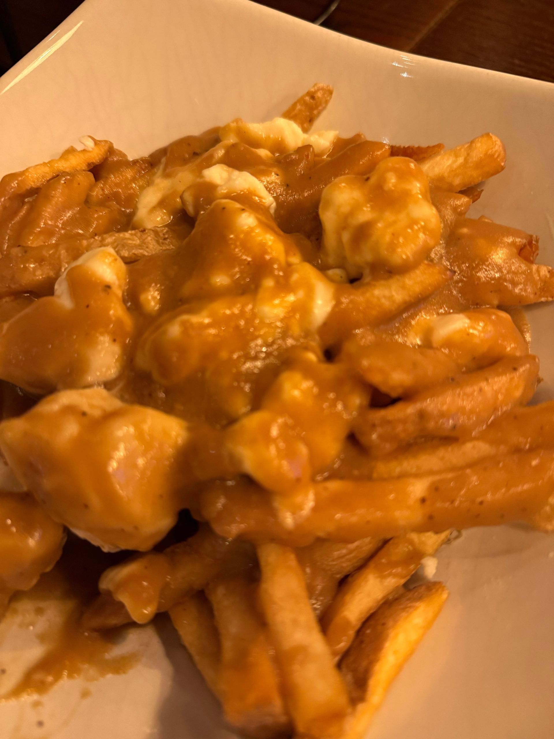 French fries topped with brown gravy and melted cheese in a takeout container