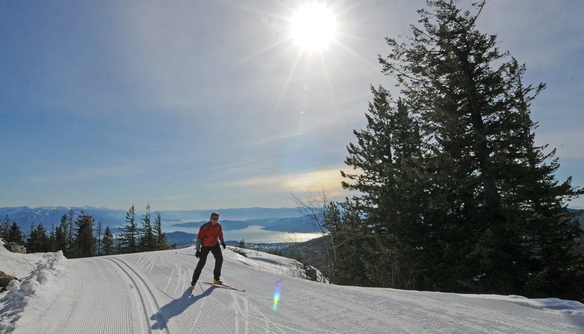 Skier in red jacket on a snowy trail with pine trees and bright sun over distant mountains