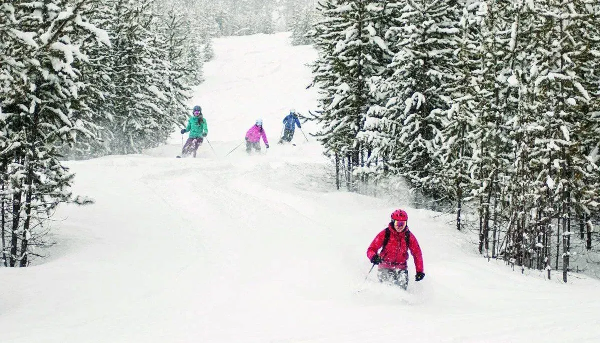 Skiers in colorful jackets descend a snowy forest trail between snow-covered trees.