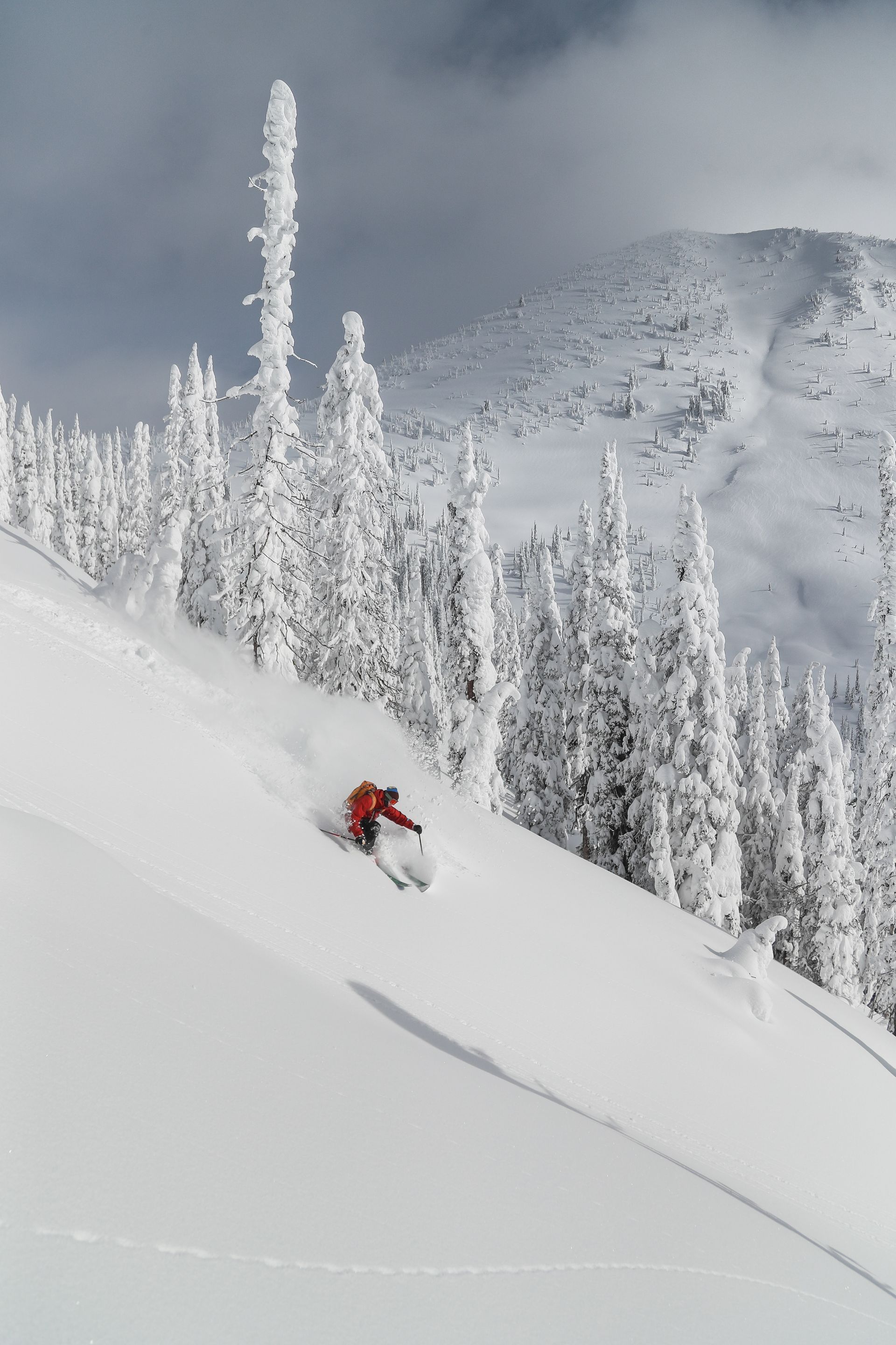 Skier in red carving through deep powder on a snowy mountainside with frosted trees and peaks