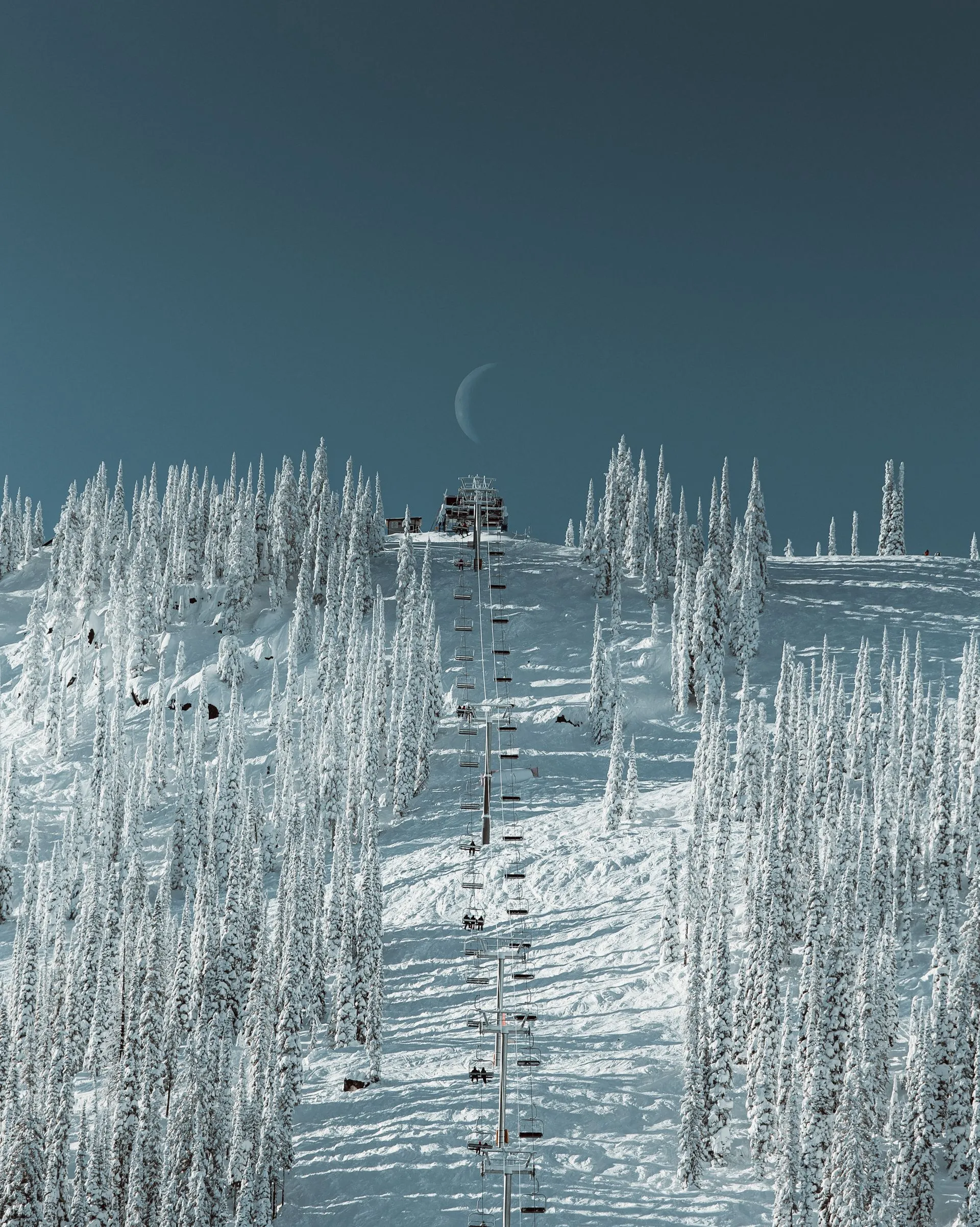 Snowy path through frosted trees under a dark sky with a faint moon and distant figures.