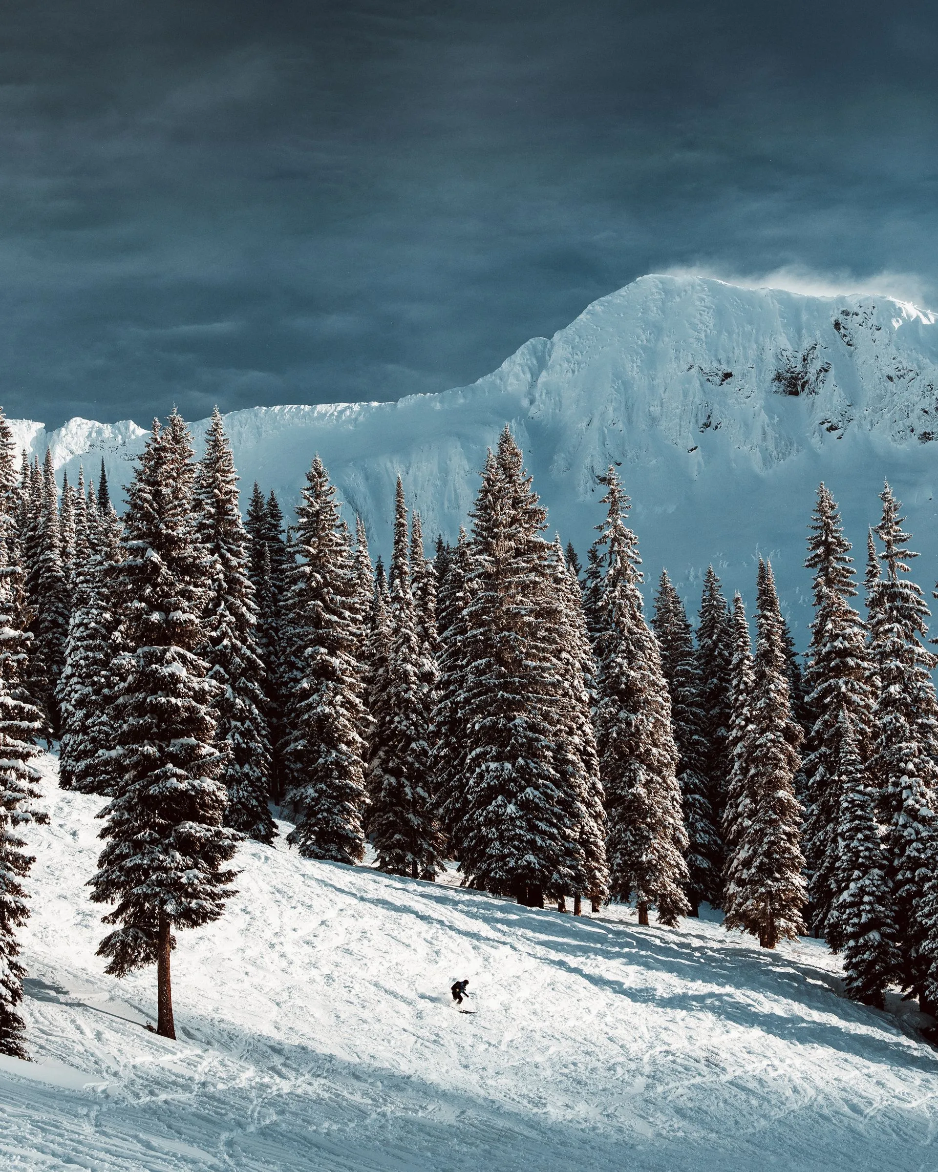 Snowy pine forest on a mountain slope under a cloudy sky, with a distant cliff in the background