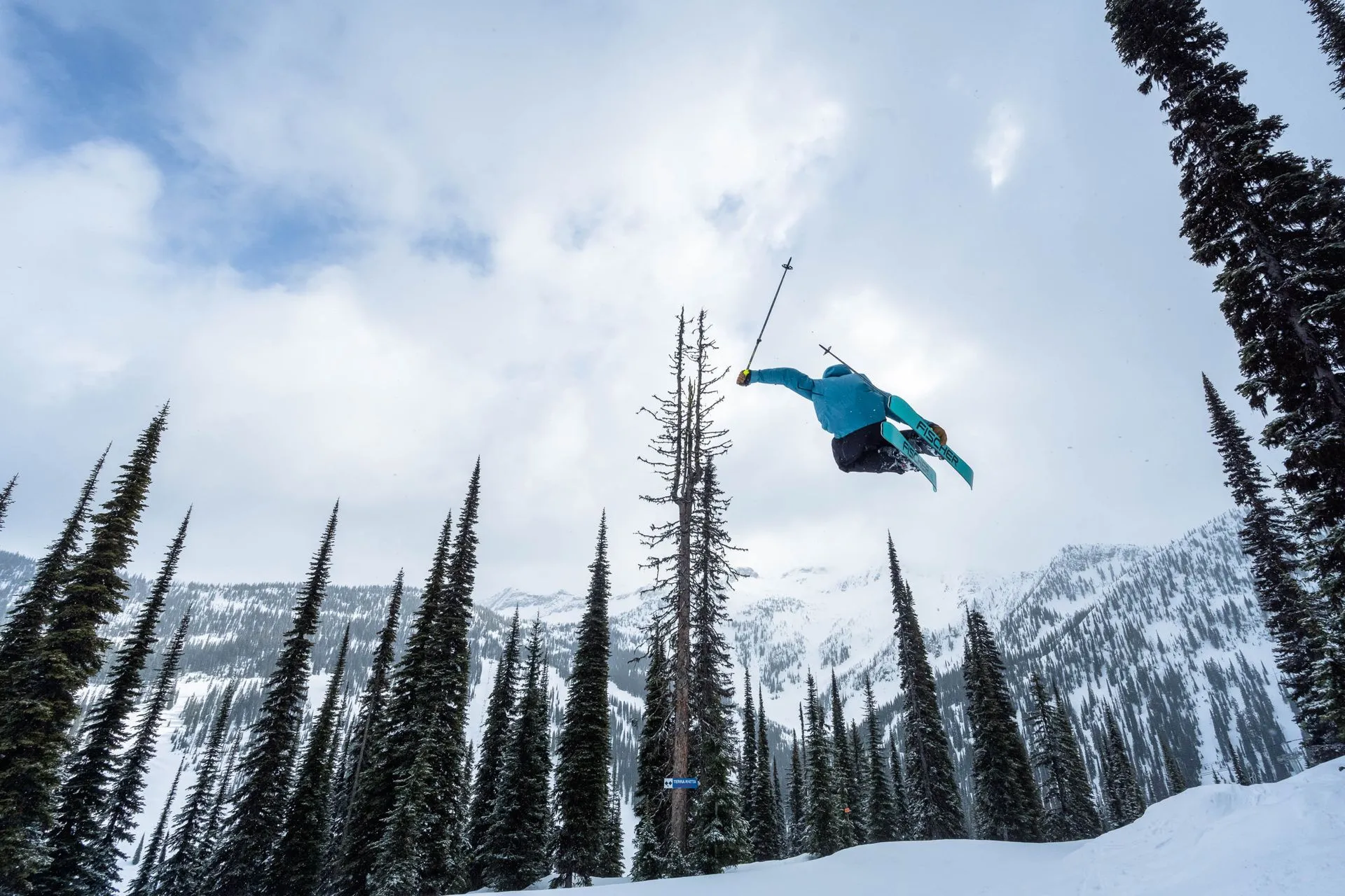 Skier midair above snowy pines and mountains under a cloudy sky