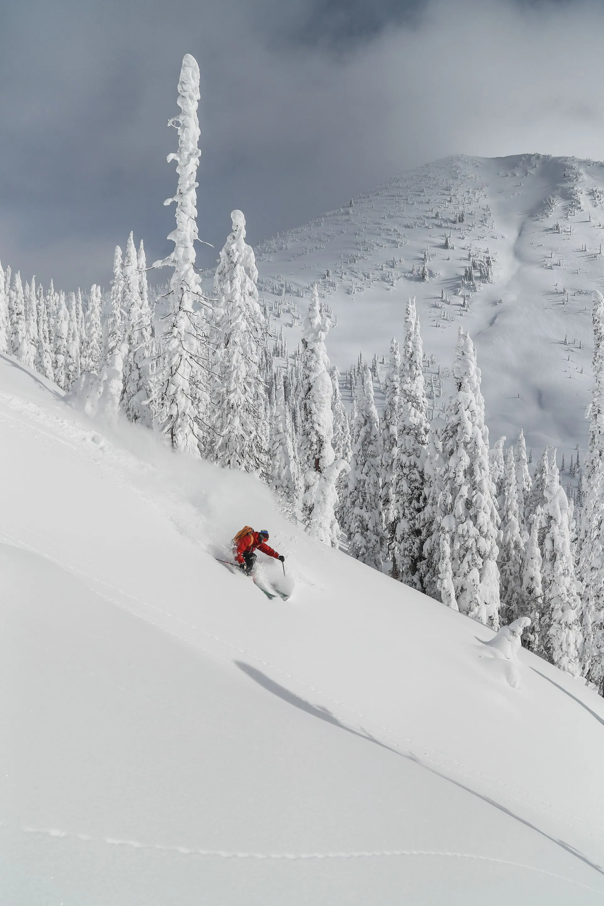 Skier in a red jacket carving down a snowy mountain slope with frost-covered trees and peaks behind.