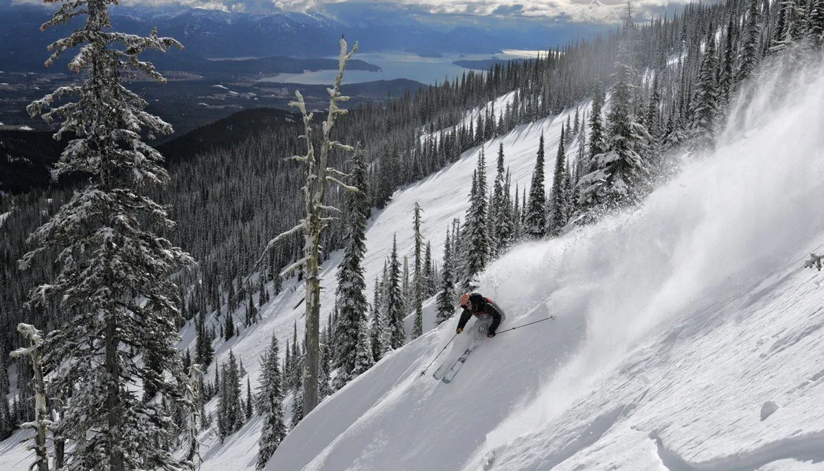 Skier carving down a snowy mountain slope with powder spraying, pine trees and distant peaks in the background