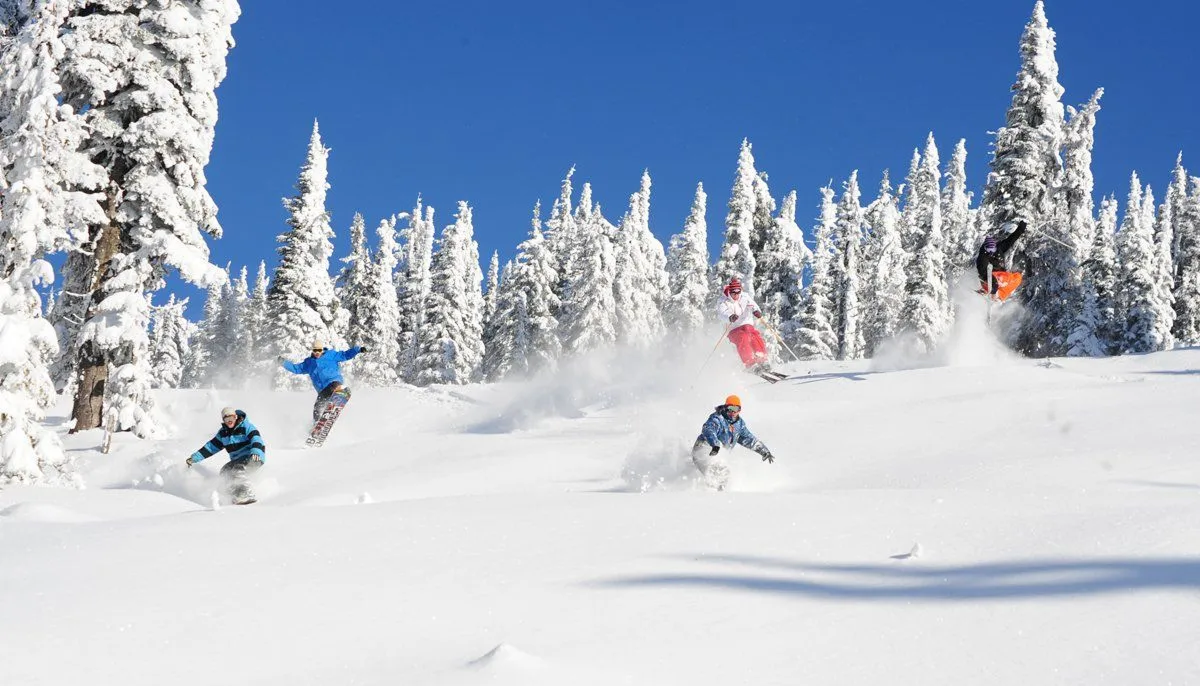 Skiers carving through fresh powder on a snowy mountain slope with snow-covered trees under a blue sky