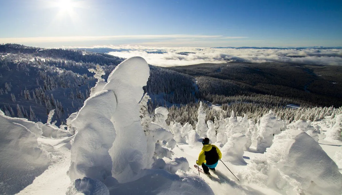 Skier in yellow jacket descends a snowy mountain slope above a vast forested valley