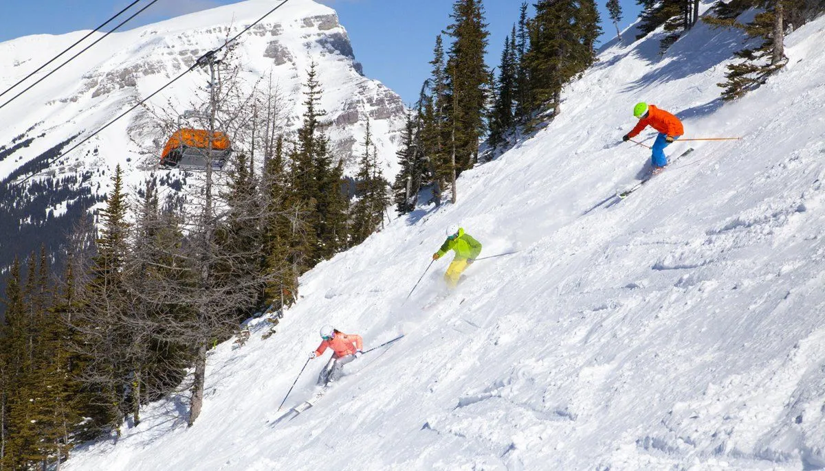 Skiers descending a snowy mountain slope near evergreen trees, with a gondola in the distance