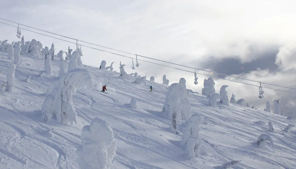 Snow-covered ski slope with chairlift lines and scattered frosted trees under cloudy sky