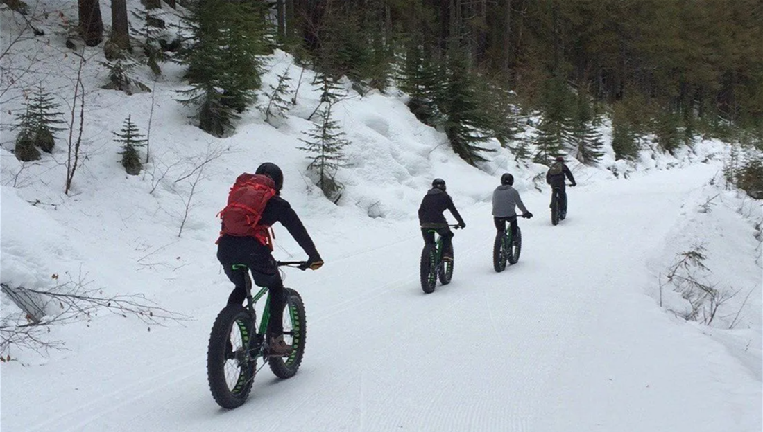 FERNIE ALPINE RESORT