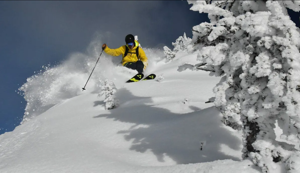 Skier in a yellow jacket carving through deep powder beside snow-covered trees