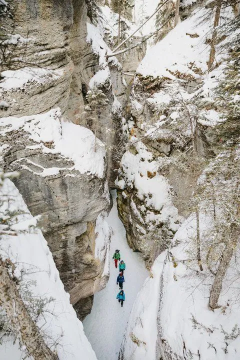 Climbers in colorful gear move through a narrow snowy canyon between tall rock walls