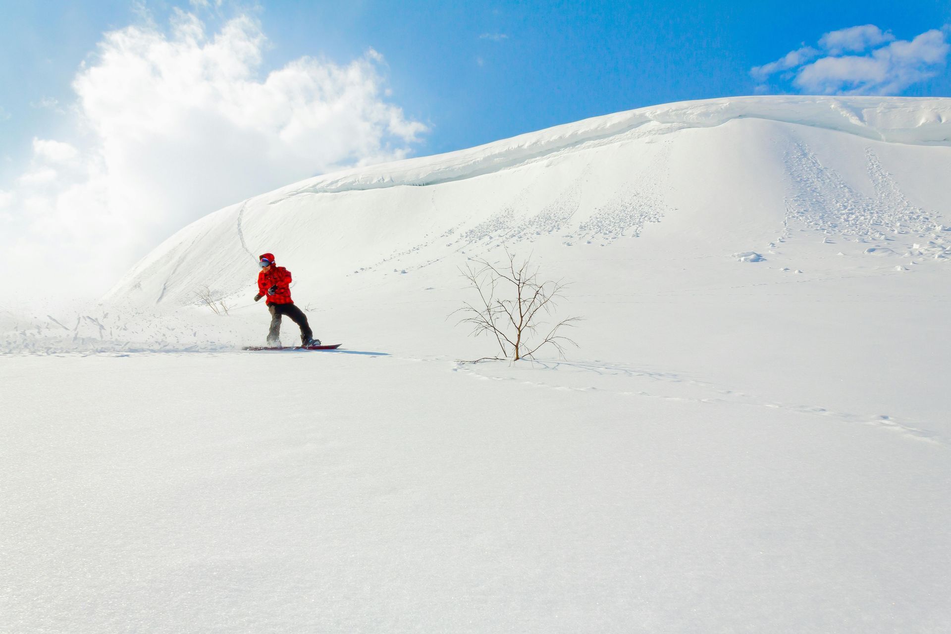Skier in a red jacket gliding across a snowy slope under a bright blue sky